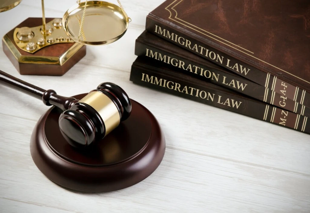 Immigration and Licensing